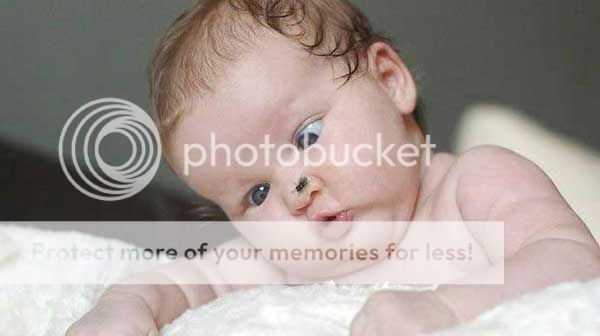 103_pics.jpg