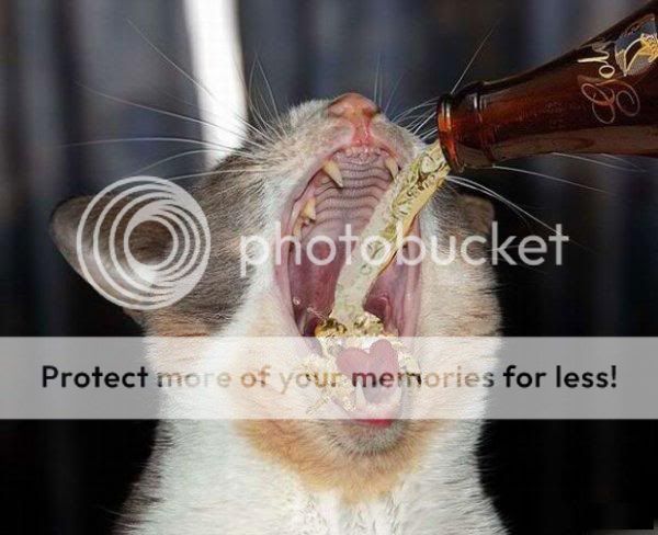 1179478795_beer_20022007_1.jpg