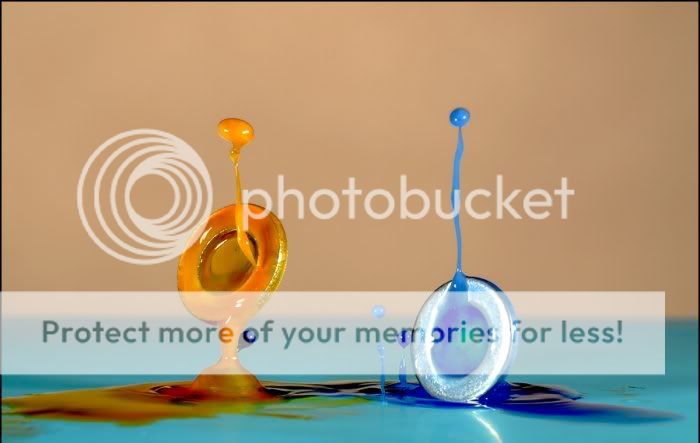 1187766467_10.jpg