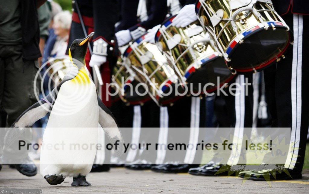 69365.jpg