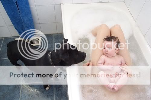 79079608.jpg