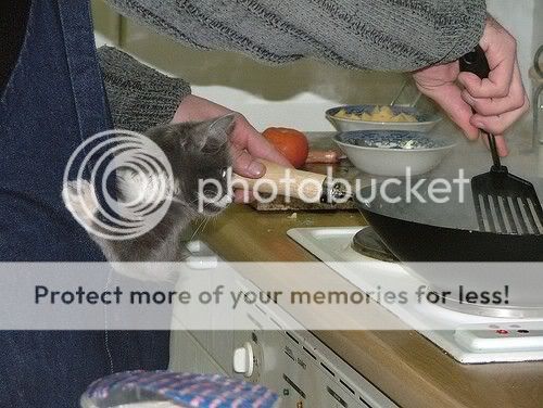 79079618.jpg