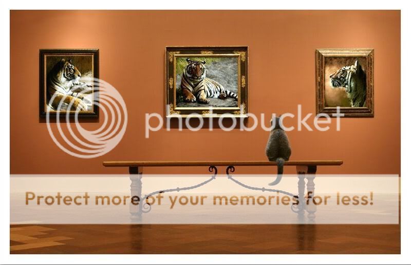 79079623.jpg