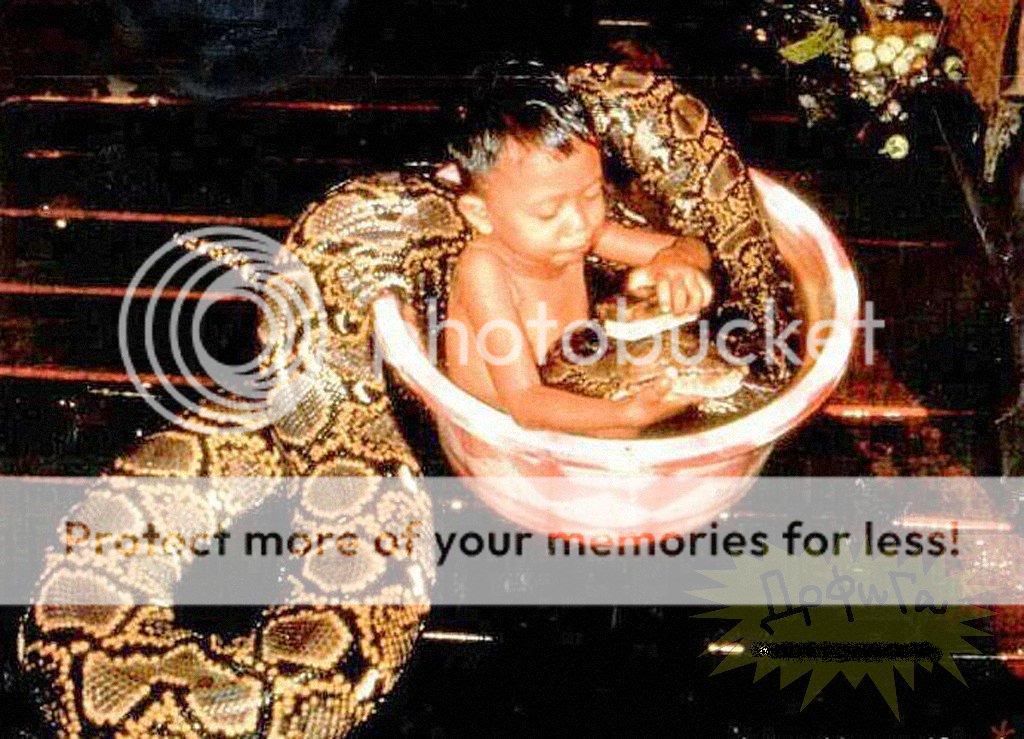 62304.jpg