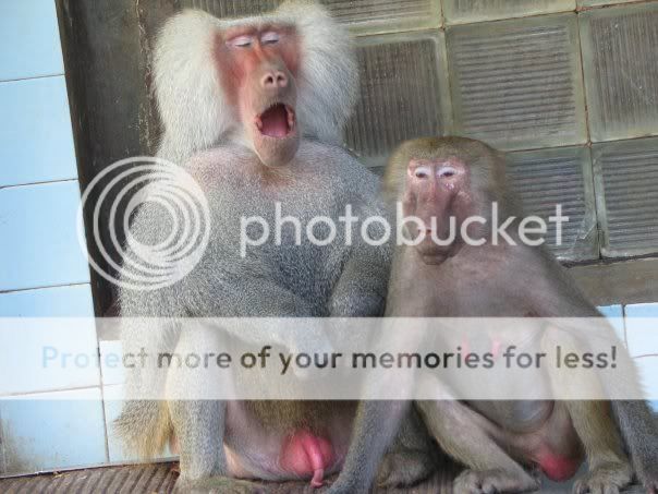 fotol_31.jpg