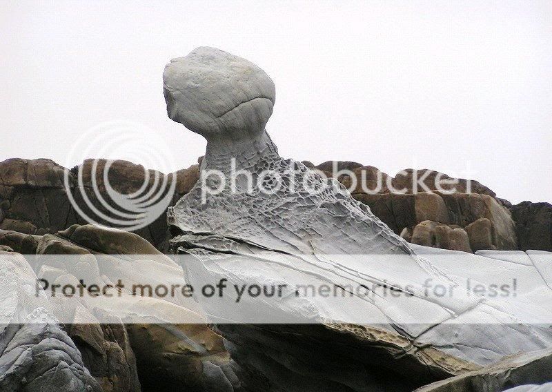 1178229500_prikolnie_kartinki_5.jpg