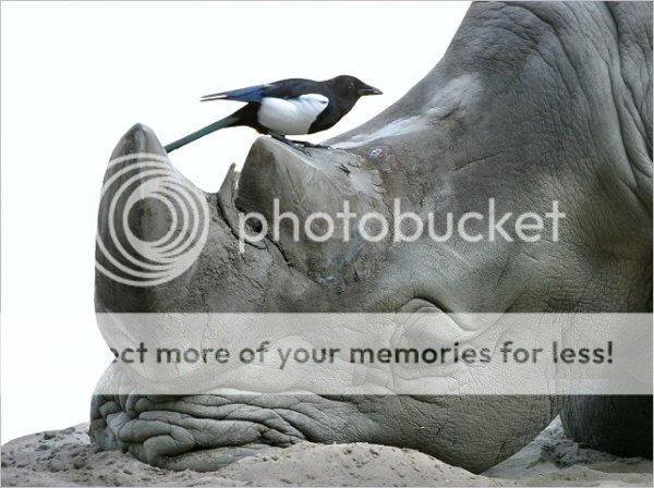 1193172958_752489.jpg
