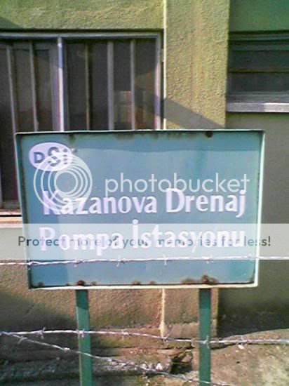 7615394546.jpg