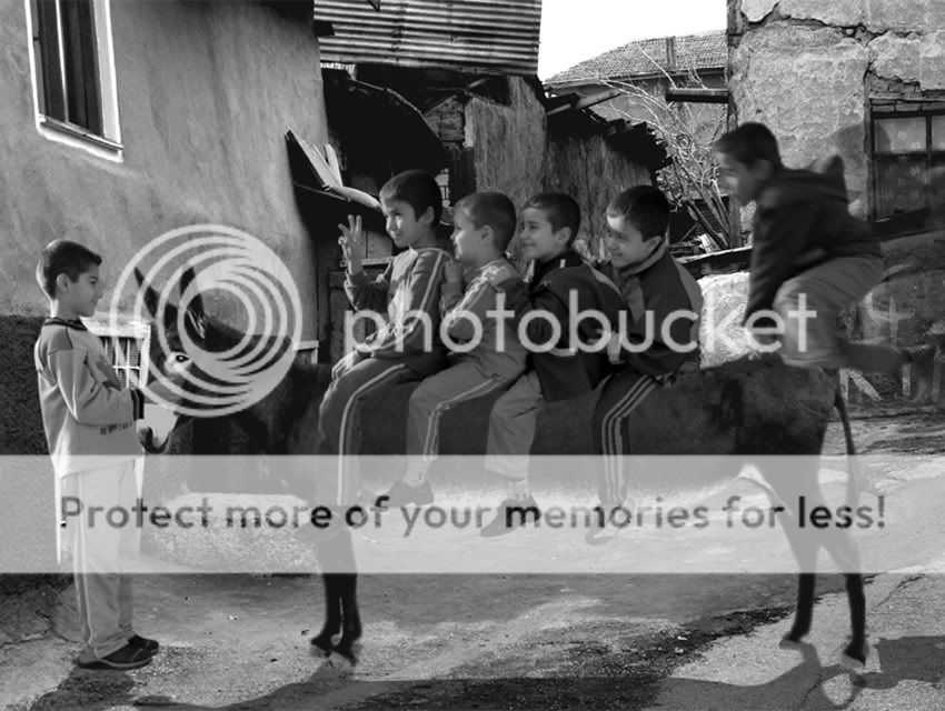 e50afdb376fc0ba45bd7859rm5.jpg