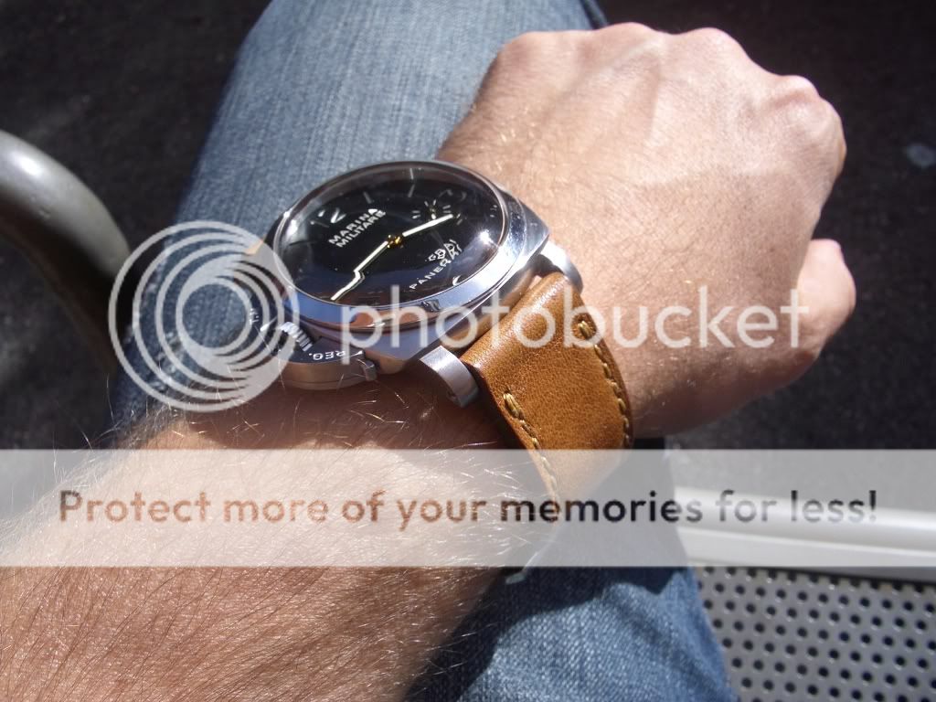 IMGP4254.jpg