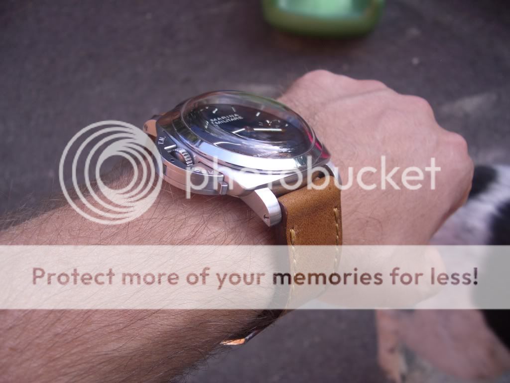 IMGP4256.jpg