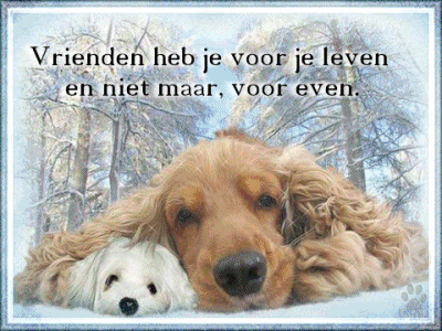 44.gif doggy love picture by hilly056