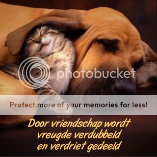45.jpg vriendschap image by hilly056