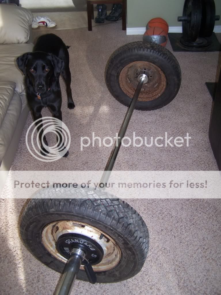 100_3073.jpg